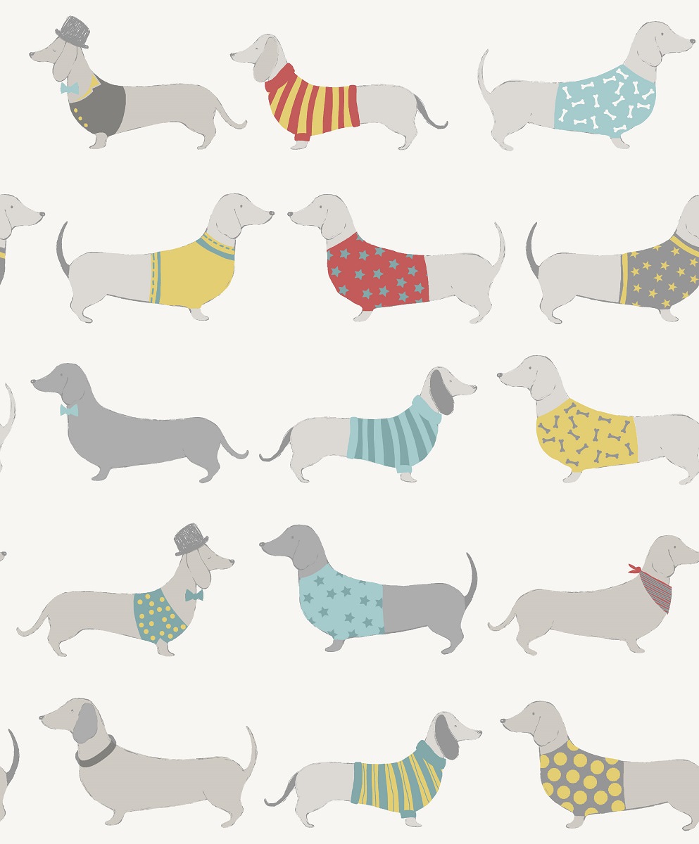 Catherine Lansfield Silly Sausage Dogs Multicoloured Wallpaper 165531 ...